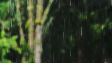 Raining-Close-Up-Detail-of-Big-Rain-Drops-with-Green-Trees,-Rain-in-Rainforest-in-Rainy-Season-in-a-Storm-During-Bad-Wet-Weather-Background,-Typical-Climate-in-Costa-Rica,-Central-America