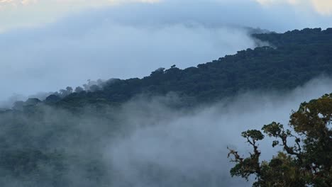 Costa-Rica-Misty-Rainforest-Landscape-with-Mountains-Scenery-in-Jungle-with-Low-Lying-Mist-and-Clouds-Rolling-Through-Valley-in-Atmospheric-Blue-Colour-Tones,-Los-Quetzales-National-Park