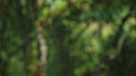 Rain-Close-Up-Detail,-Raining-in-Rainy-Season-in-Tropical-Green-Rainforest-in-Rain-Storm-During-Horrible-Wet-Bad-Weather,-Costa-Rica-Climate-in-the-Tropics,-Central-America