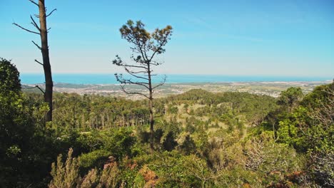 Aerial-Drone-View-of-Pena-Palace,-Sintra,-Lisbon,-Portugal,-and-the-beautiful-forest-and-mountain-landscape,-UNESCO-World-Heritage-Site-Architecture-and-Popular-Tourist-Attraction,-Europe