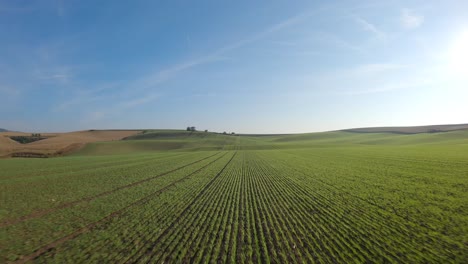 Fast-flight-over-the-vast,-fertile,-poetic-and-wavy-landscape-of-South-Moravia