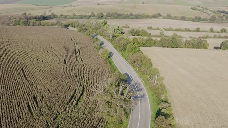 Asphaltstraße-Teilt-Die-Fruchtbare-Landschaft-Südmährens.-Drohnenschuss