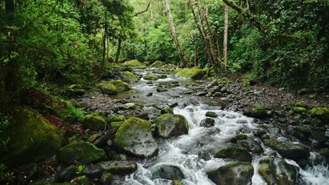 Rainforest-River-Landscape-in-Costa-Rica,-Beautiful-Nature-and-Tropical-Jungle-Scenery-with-Water-Flowing,-Savegre,-San-Gerardo-De-Dota,-Central-America-1