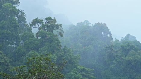 Heavy-Rain-in-Rainforest-with-Misty-Foggy-Trees,-Raining-in-Rainy-Season-in-a-Tropical-Blue-Mysterious-Storm-Landscape-with-Mist,-Blue-Tones-Nature-Background-of-Wet-Weather-Climate-in-Costa-Rica