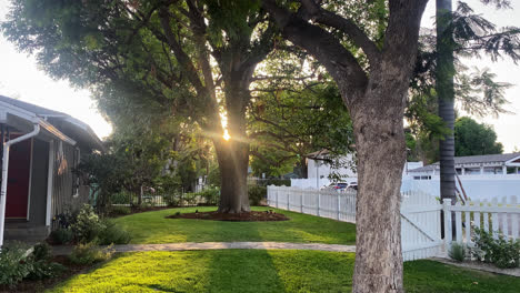 Sonne-Scheint-Durch-Riesigen-Baum-Mit-Sonnenstrahlen,-Die-In-Der-Abenddämmerung-Im-Vorgarten-In-Einer-Gemeinde-In-Los-Angeles-In-Kalifornien-Scheinen