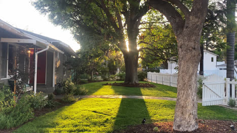 Sonne-Scheint-In-Der-Abenddämmerung-Durch-Einen-Riesigen-Baum-Im-Vorgarten-In-Einer-Gemeinde-In-Los-Angeles-In-Kalifornien