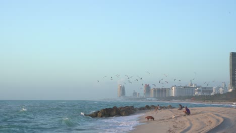Beaches-in-Florida-early-in-the-morning