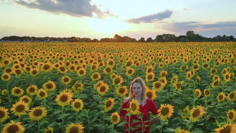 Hermosa-Mujer-Con-Un-Vestido-Rojo,-Sonriendo-En-Medio-De-Girasoles-Florecientes---Helianthus-Annuus