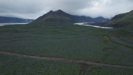 Aufsteigende-Offenbarung-Des-Wunderschönen-Und-Eisigen-Svinafellsjokull-gletschers-Mit-Reicher-Krautbepflanzung-In-Südisland