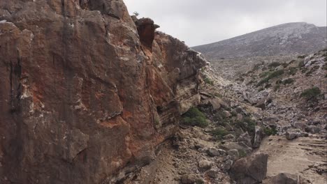 The-camera-rises-above-a-rock-massif-to-reveal-subtropical-Dragon-blood-trees-on-Socotra-Island-,-Yemen