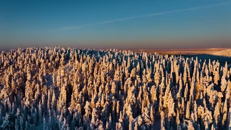 Luftbild-Rotiert-über-Verschneiten-Wald-Auf-Einem-Berg,-Sonniger-Abend-In-Kuusamo,-Finnland---Aufsteigend,-Drohnenaufnahme