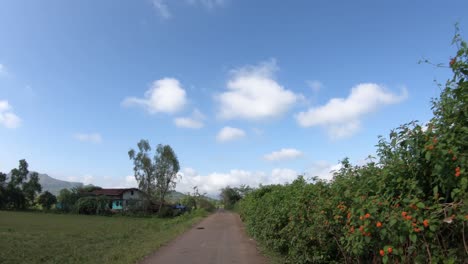 Traveling-Across-Dirt-Roads-In-Brahmagiri,-Western-Ghat,-Maharashtra,-India