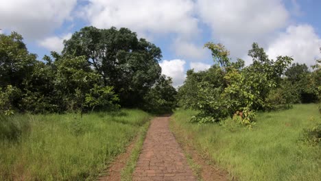 Walking-Through-Cobbled-Stone-Pathway-Near-Brahmagiri,-Western-Ghats-of-Maharashtra,-India