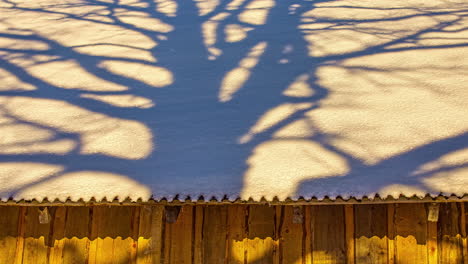The-shadow-of-a-tree-crosses-a-cabin-roof-as-the-sunsets-beyond-the-forest---time-lapse
