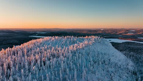 Aerial-view-of-the-snow-covered-forest-on-the-Konttainen-mountain,-sunset-in-Kuusamo,-Finland---tracking,-drone-shot