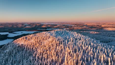 Vista-Aérea-Con-Vistas-A-Los-árboles-Nevados-En-La-Caída-De-Konttainen-Iluminada-Por-El-Sol,-En-Kuusamo,-Finlandia---Rotación,-Retroceso,-Disparo-De-Drones