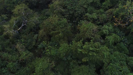 Aerial-view-of-the-Morogoro-rock-garden-16