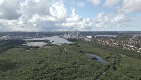 Aerial-flight-over-the-Badu-Mangroves-forest-in-Sydney-Olympic-Park-and-Wentworth-Point-at-Western-Sydney