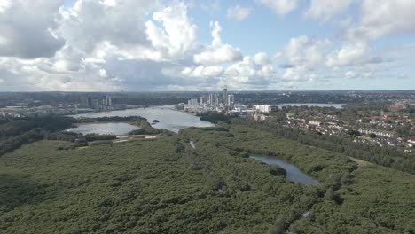 Vuelo-Aéreo-Sobre-El-Bosque-De-Manglares-De-Badu-En-El-Parque-Olímpico-De-Sydney-Y-El-Punto-Goingworth-En-El-Oeste-De-Sydney