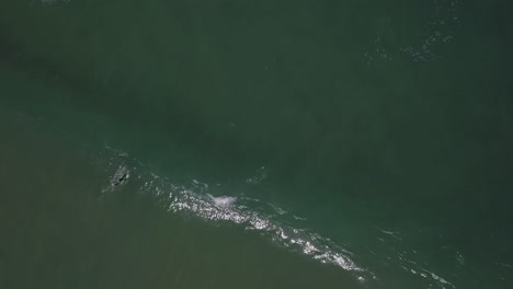 Playa-De-Portugal---Una-Toma-Aérea-Del-Océano-Atlántico