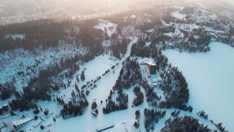 Aerial-View-Of-Winter-Landscape,-Rural-Town-With-Snow-Covered-Trees-In-Snow-Fall---drone-shot