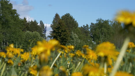 Schöne-Reine-Natur-Von-Finnland-Im-Sommer,-Finnische-Flagge-Weht-Im-Hintergrund