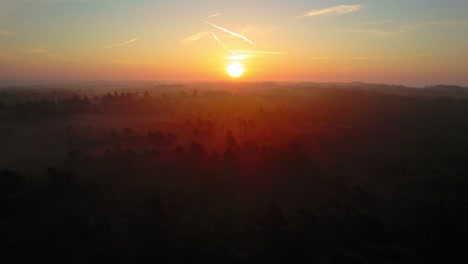 Luftaufnahme-Der-Atemberaubenden-Landschaft-Mit-Nebligen-Dunklen-Waldkiefern-Bei-Sommerfarbenem-Sonnenaufgang