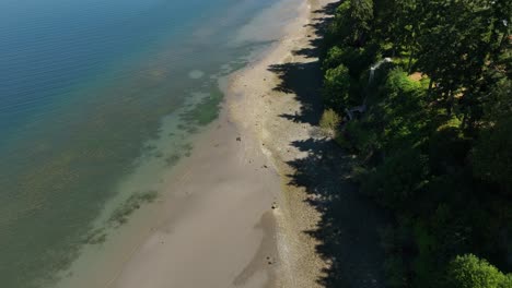 Drohnenaufnahme-Der-Küste-Im-Hafen-Von-Holmes,-Whidbey-Island