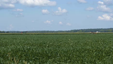 Locked-off-landscape-shot-of-agricultural-farming-in-the-Midwest-with-Oil-jacks-pumping-away-in-the-background