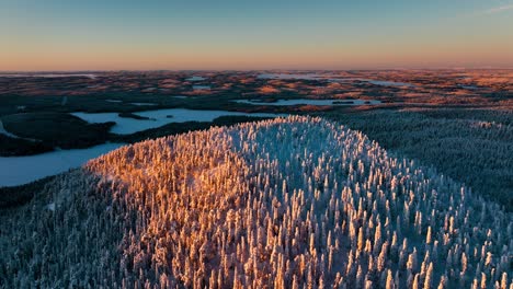 Snowy-forest-on-the-Konttainen-mountain,-in-Kuusamo,-Finland---reverse,-tilt,-aerial