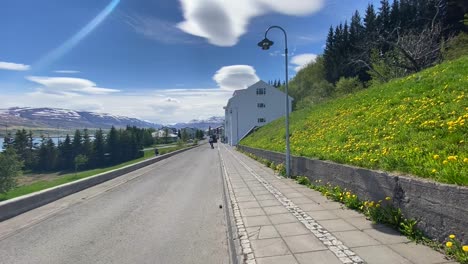 Vista-Trasera-De-La-Persona-Que-Monta-Scooter-Eléctrico-En-La-Calle-En-El-Barrio-Residencial-Islandés,-Vista-Estática