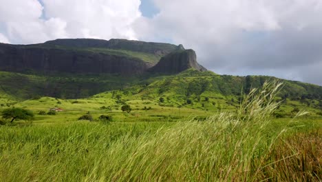 Malerische-Natur-Mit-Schwankendem-Gras-Und-Bergen-In-Der-Nähe-Von-Trimbakeshwar-In-Nashik,-Indien