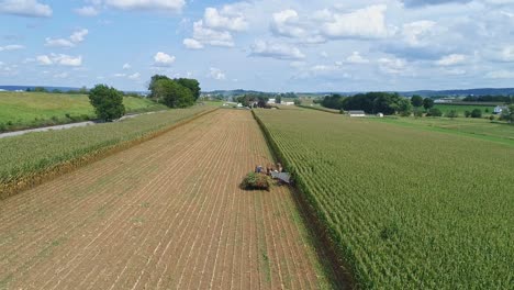 Eine-Drohne-Von-Hinten-Zeigt-Amish,-Die-Ihren-Mais-Mit-Sechs-Pferden-Und-Drei-Männern-Ernten,-Wie-Es-Vor-Jahren-An-Einem-Sonnigen-Herbsttag-Getan-Wurde