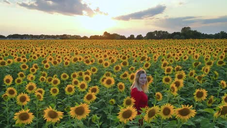 Joven-Rubia-Caucásica-Madre-Embarazada-Camina-Sola-En-Un-Campo-Floreciente-De-Girasol-Al-Atardecer-Usando-Un-Vestido-Rojo-De-Maternidad