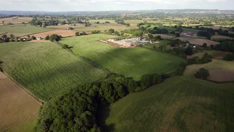 Drone-Shot-of-Farm,-Fields-and-Corn-Crops-In-Devon,-England