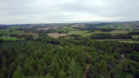 Woodland-Area-In-North-Devon,-England,-With-Rural-Farming-Fields-In-Background