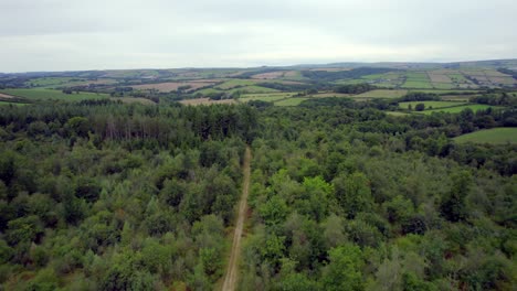 Drone-Flying-Over-Devon-Forest,-Farm-Fields-and-Empty-Track-Road