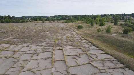 Overgrown-cement-lot-at-the-Muskegon-Casino-Build-site