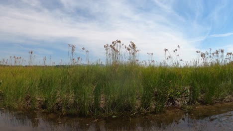 El-Río-Corre-A-Lo-Largo-De-Un-Canal-Que-Conduce-Al-Estanque-Lovewell-En-Fryeburg,-Maine