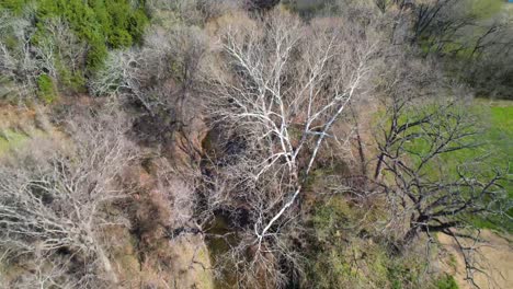 Aerial-footage-of-Post-Oak-Creek-in-Sherman-Texas-1