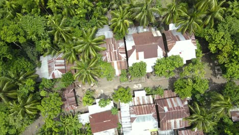 Aerial-Top-View-Over-Rusty-Tin-Roof-Of-Rural-Village-Surrounded-By-Green-Trees-In-Bangladesh