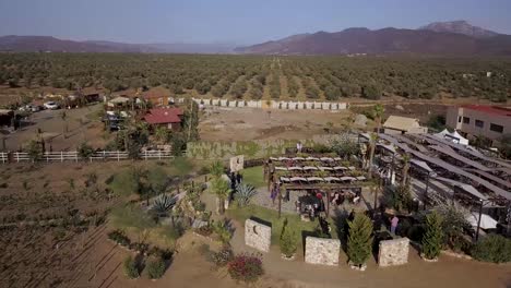 Drone-flying-around-a-wedding-party-on-a-big-house-in-the-middle-of-a-valley