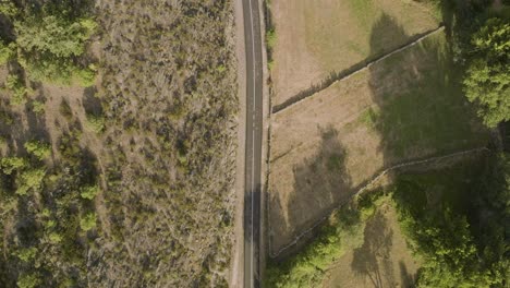 Aerial-top-down-of-rural-empty-asphalt-road-surrounded-by-dry-forest-terrain-at-sunset