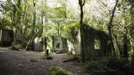Ruins-Of-An-Abandoned-Building-Within-Kennall-Vale-Nature-Reserve,-Ponsanooth,-England