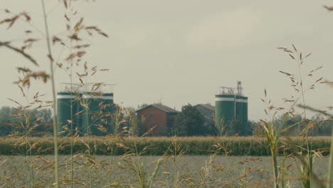 Silos-containing-chopped-corn-stand-in-the-Italian-countryside,-Parma-province-on-a-summer-morning