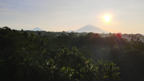 Tropische-Vegetation-Im-Ländlichen-Bali-Mit-Bergen-Im-Hintergrund-Bei-Sonnenuntergang---Drohnenaufnahme-Aus-Der-Luft