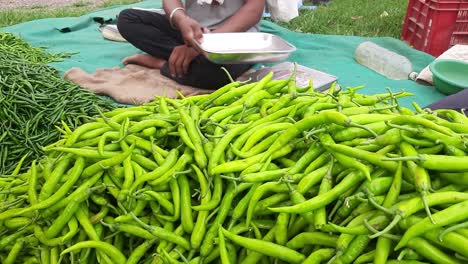 Big-Green-Chilli-at-Local-Vegetable-Market