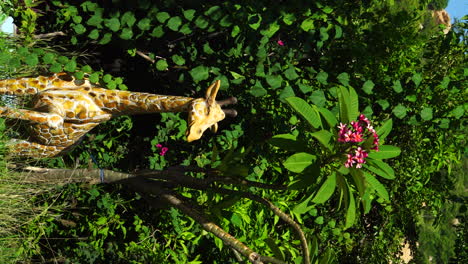 Fake-giraffe-statue-standing-against-vibrant-green-jungle-in-Vietnam,-vertical-video