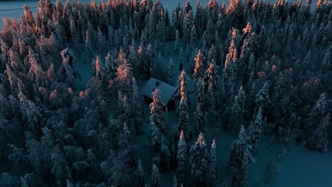 Aerial-view-of-a-cabin,-in-middle-of-snowy-trees,-sunrise-in-Lapland---descending,-drone-shot