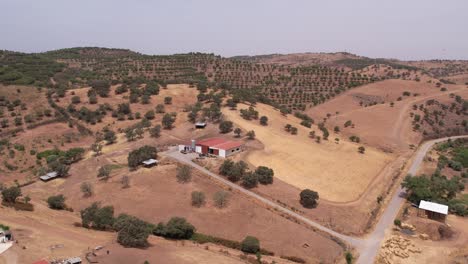 Alta-Antena-Orbitando-Sobre-El-Almacén-De-La-Granja-En-El-Paisaje-Rural,-Alentejo